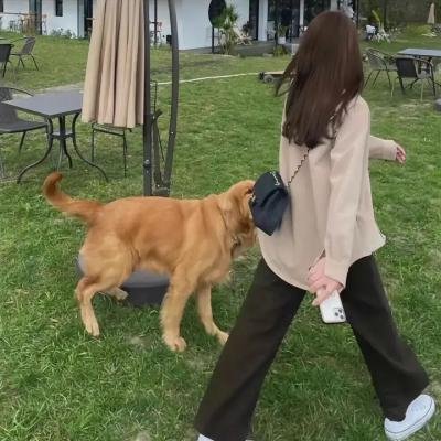 狐狸捕手